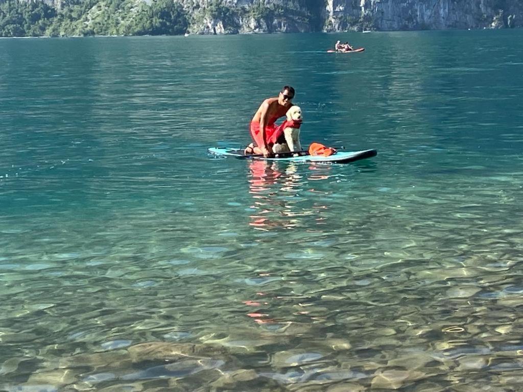 Doodle'S Amazing Chalet -Walensee - Flumserberg - Churfirsten - Heidiland - Pool - Sauna مولس المظهر الخارجي الصورة