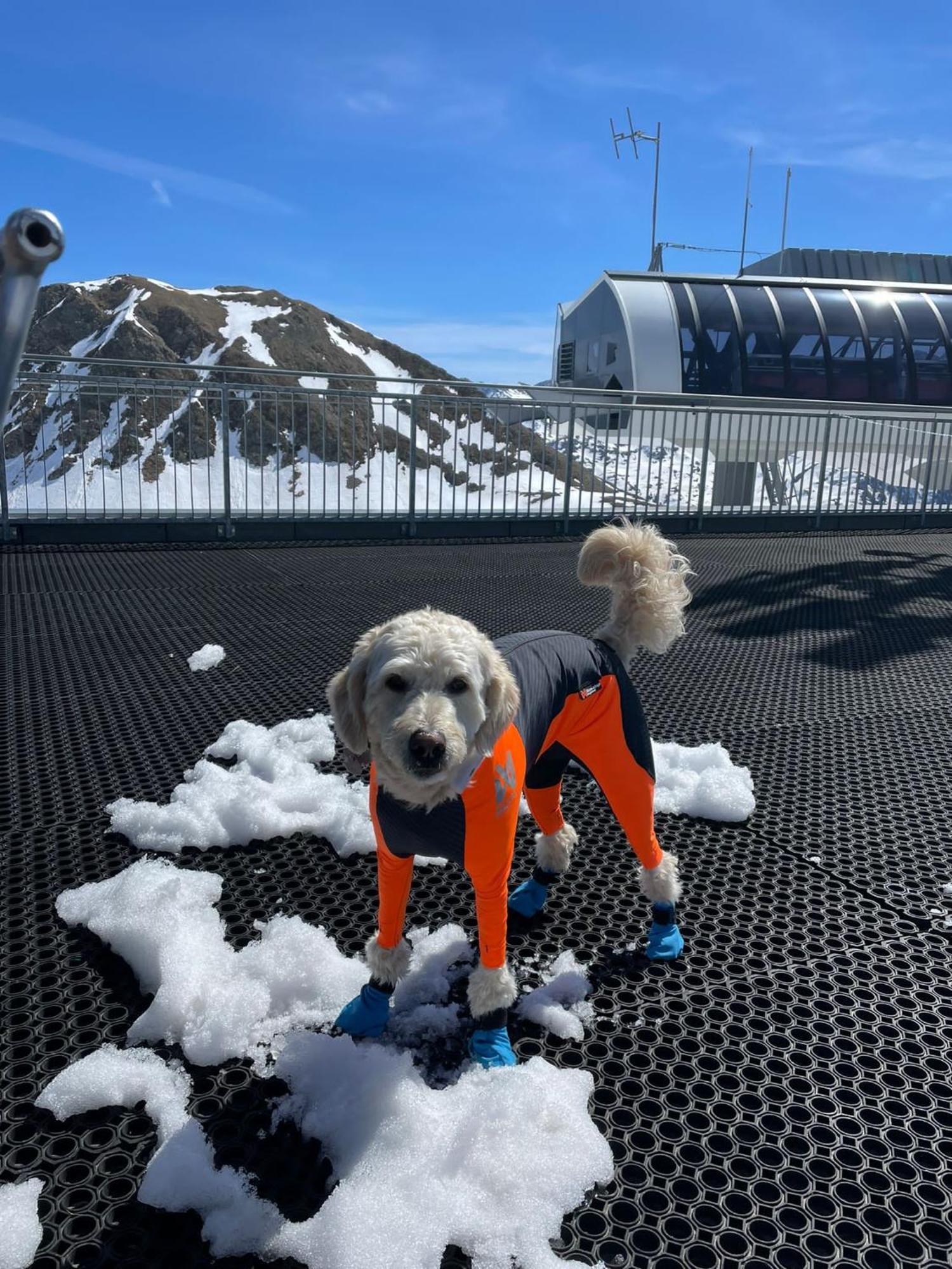 Doodle'S Amazing Chalet -Walensee - Flumserberg - Churfirsten - Heidiland - Pool - Sauna مولس المظهر الخارجي الصورة